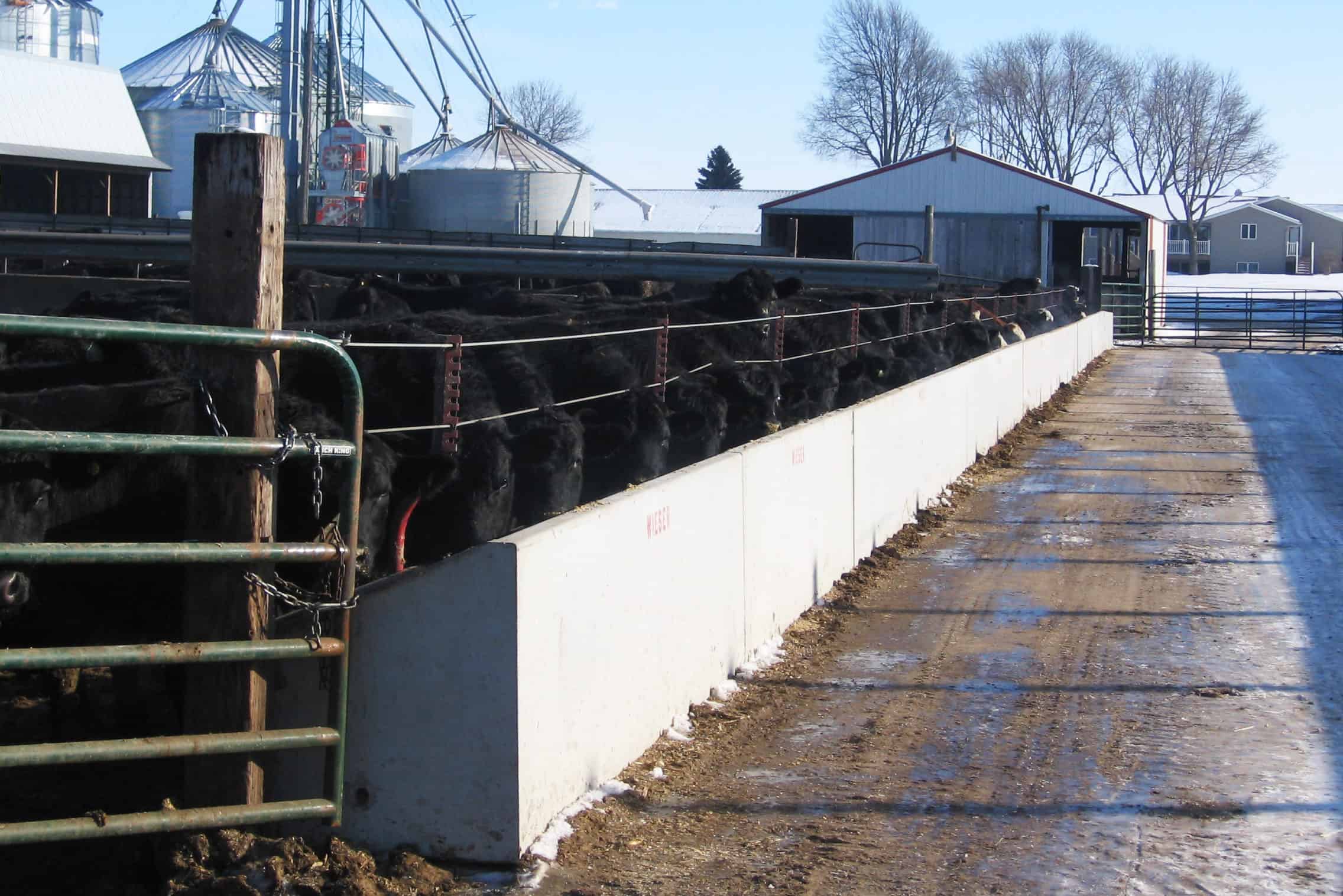 Bottems Straight Back Fenceline Feed Bunk Precast Concrete