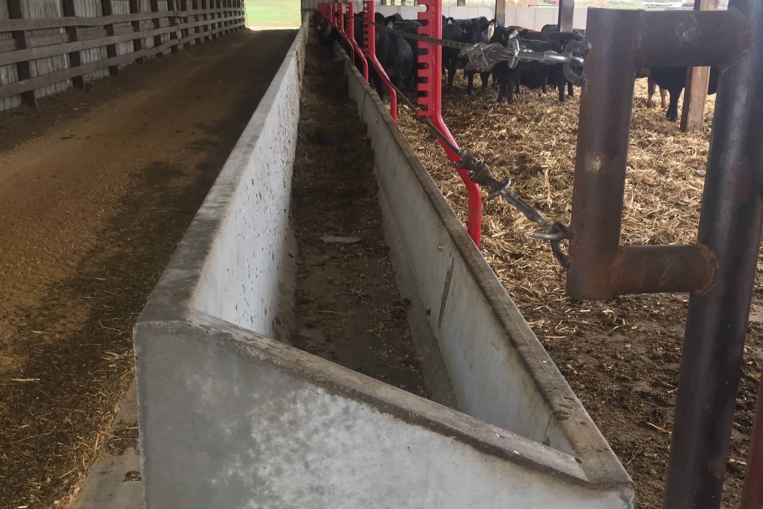 Cattle Feed Troughs