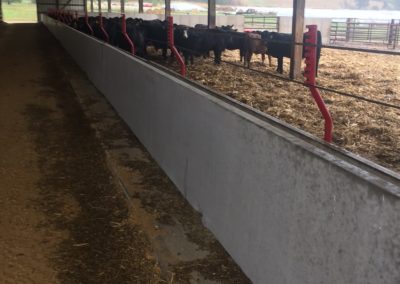 Fencline Feed Bunk Rooney Farms Precast Concrete