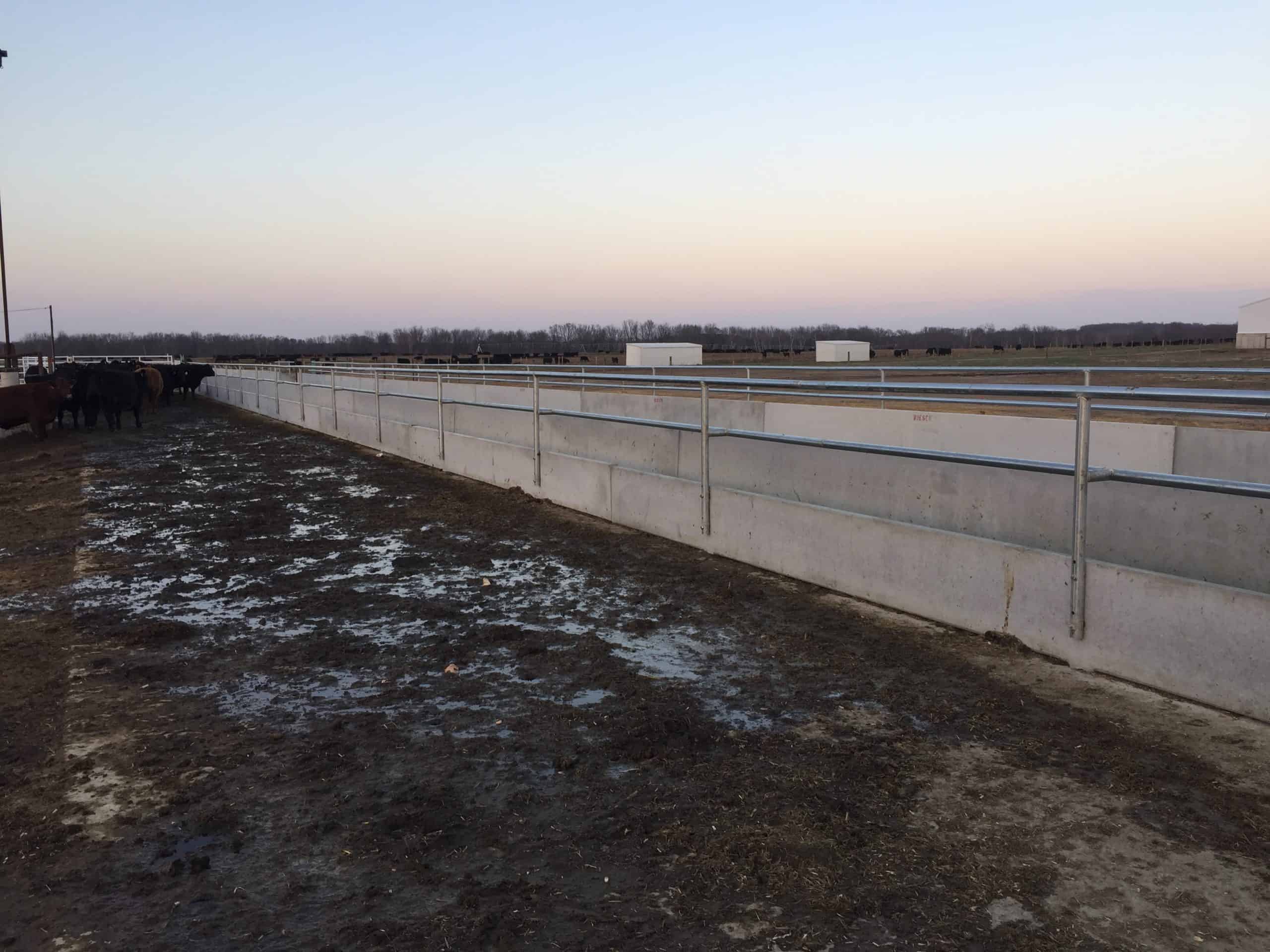 Rooney Farms Feed Bunks by Wieser Concrete