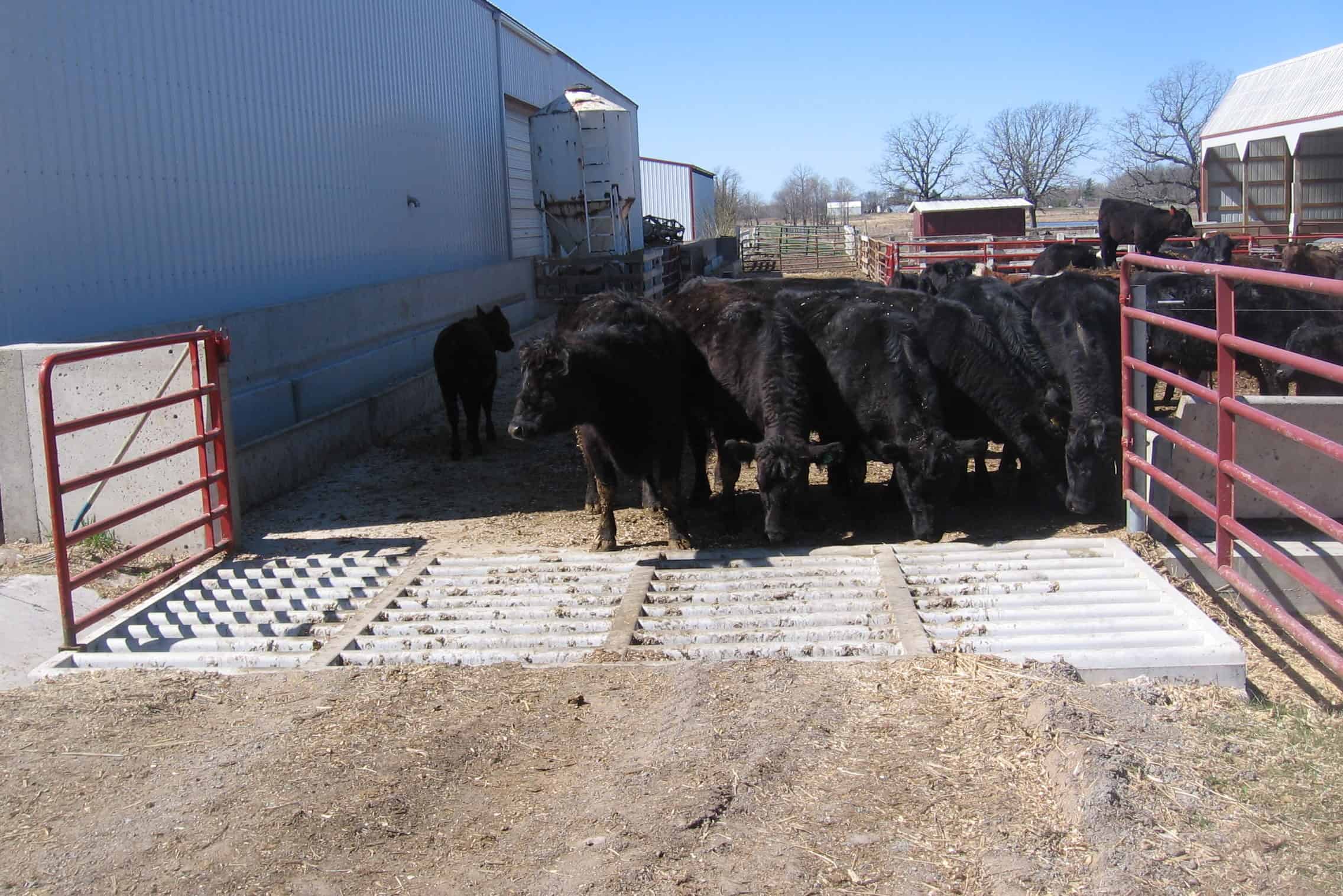 Precast Concrete Schneider Farm Cattle Guard 2