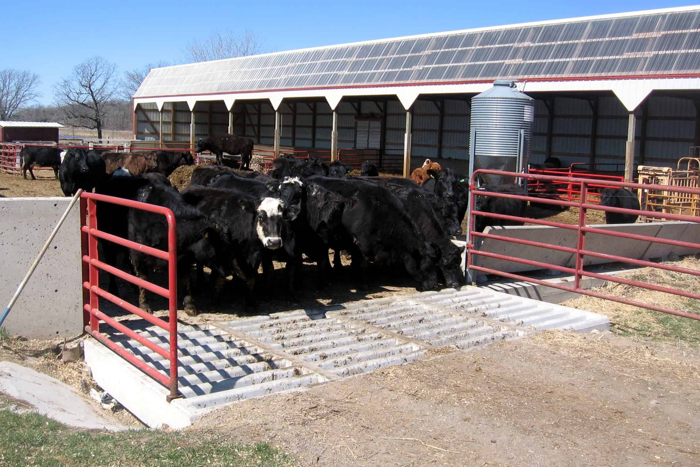 Precast Concrete Schneider Farm Cattle Guard
