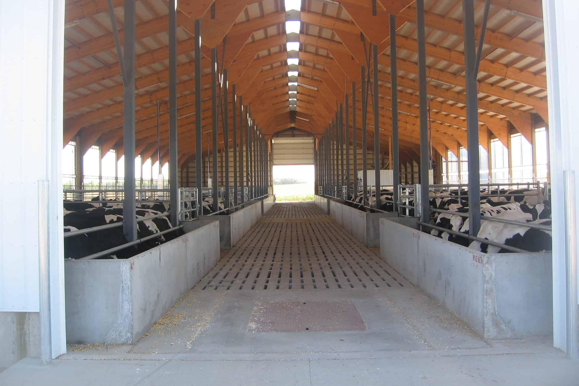 Slatted Floor Manure Storage Beef Barn Frieler Precast Concrete