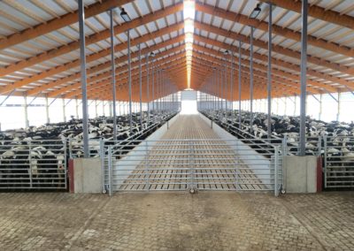 Slatted Floor Manure Storage Eron Beef Barn Precast Concrete